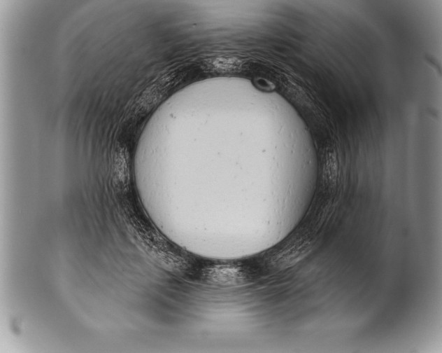 X0000100410651200806201800