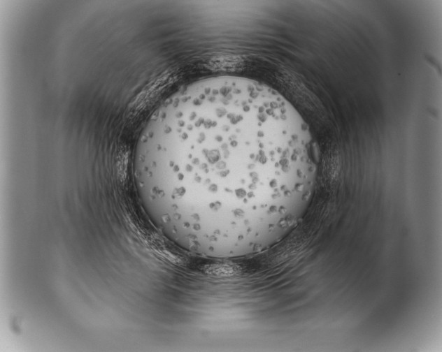 X0000100410652200806201800