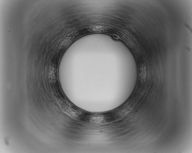 X0000100410653200806201800