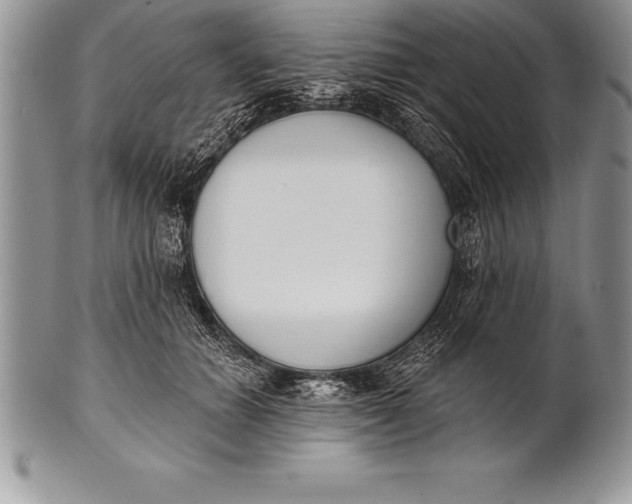 X0000100410654200806201800