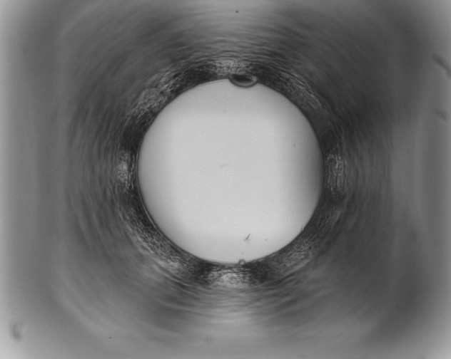 X0000100410655200806201800