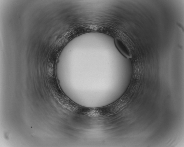 X0000100410656200806201800