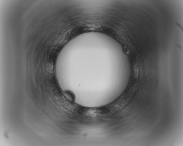 X0000100410657200806201800