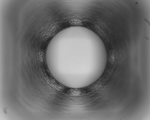 X0000100410658200806201800