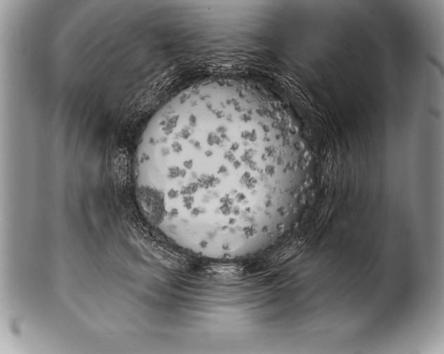 X0000100410659200806201800