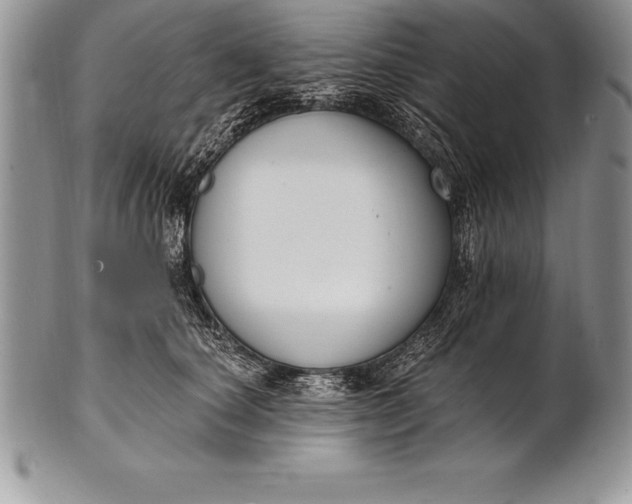 X0000100410660200806201800