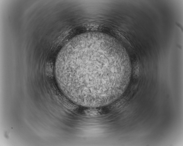 X0000100410661200806201800