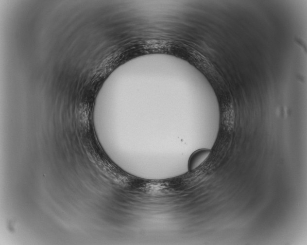 X0000100410662200806201800