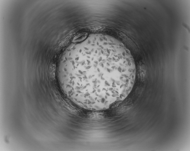 X0000100410664200806201800