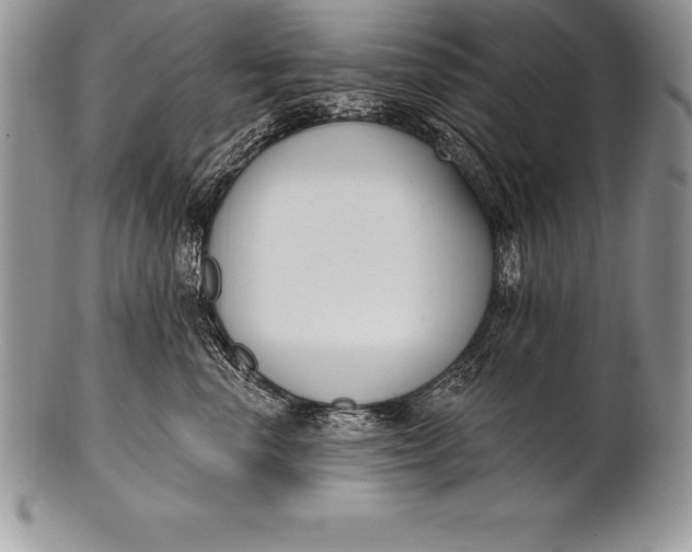 X0000100410666200806201800