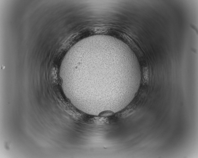 X0000100410667200806201800