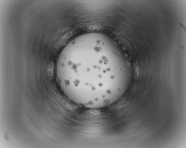 X0000100410668200806201800