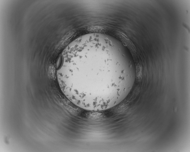 X0000100410669200806201800