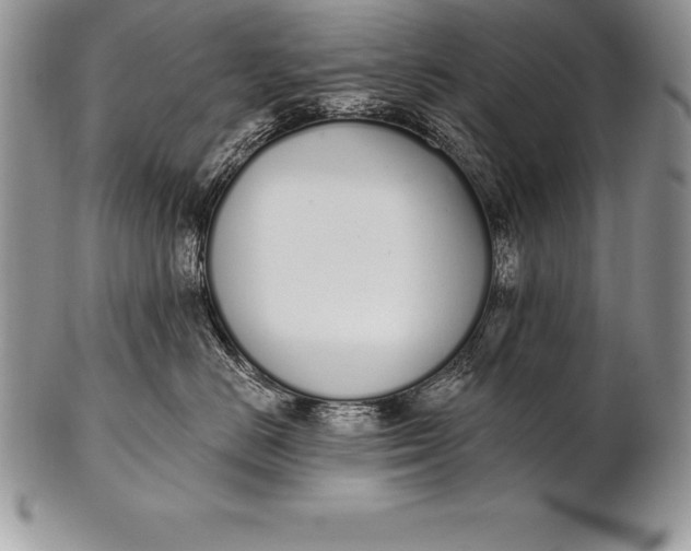 X0000100410670200806201800