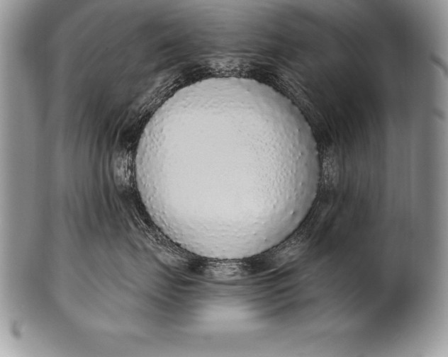 X0000100410671200806201800