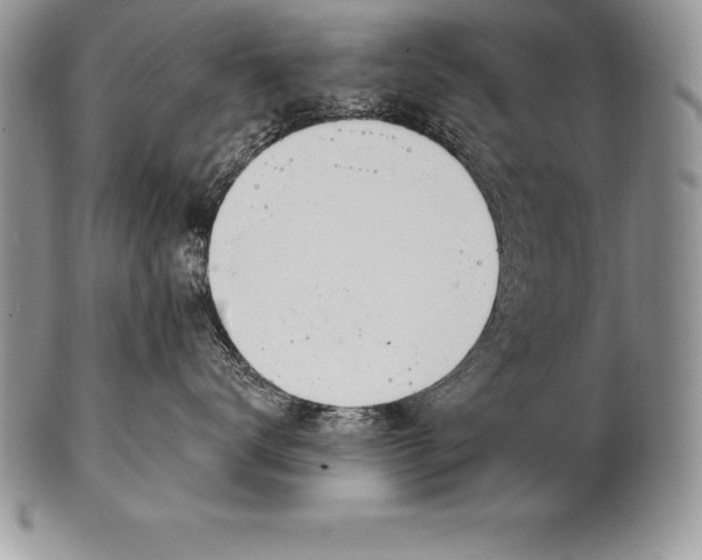 X0000100410672200806201800