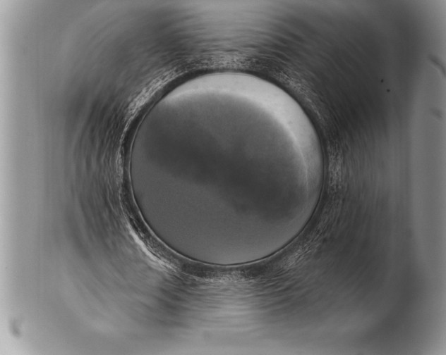 X0000100410674200806201800