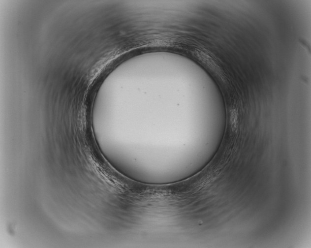 X0000100410676200806201800