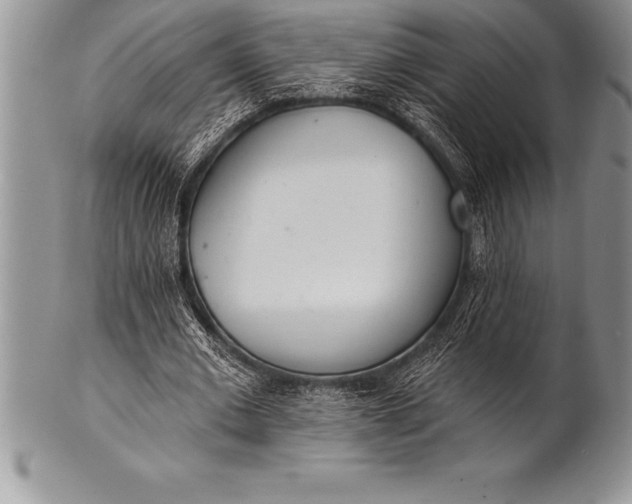 X0000100410677200806201759