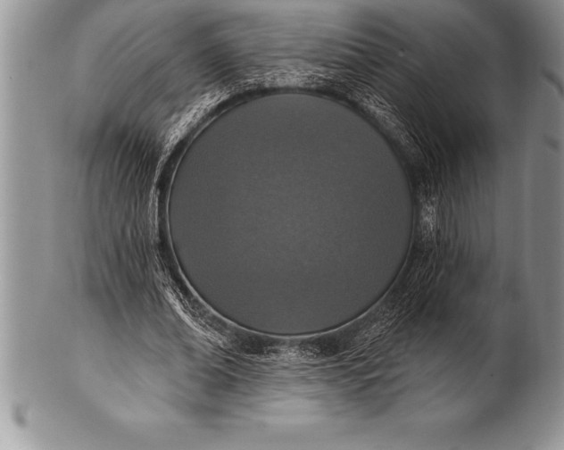 X0000100410678200806201759