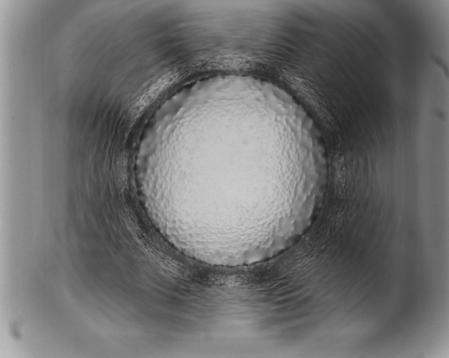 X0000100410679200806201759