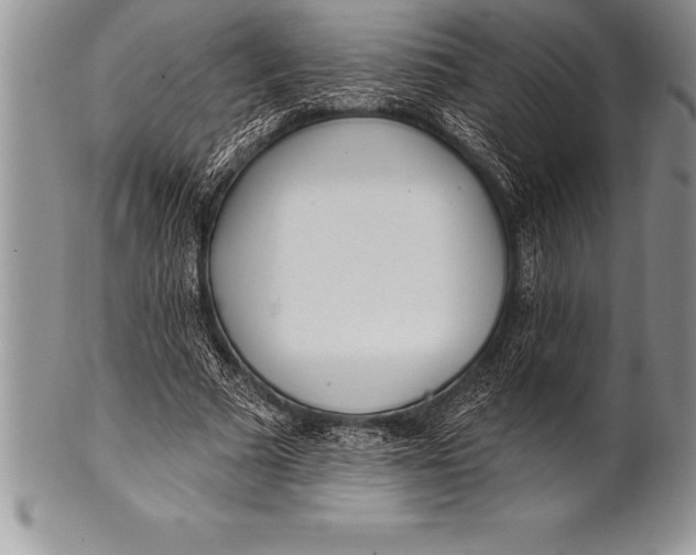 X0000100410681200806201759