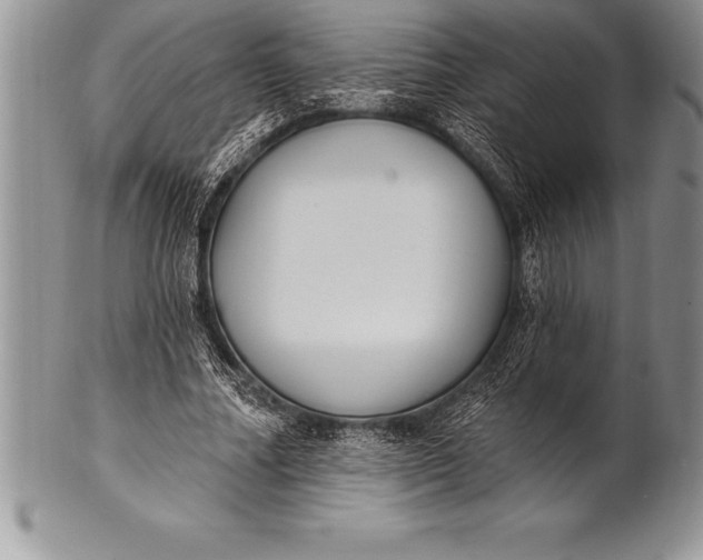 X0000100410682200806201759