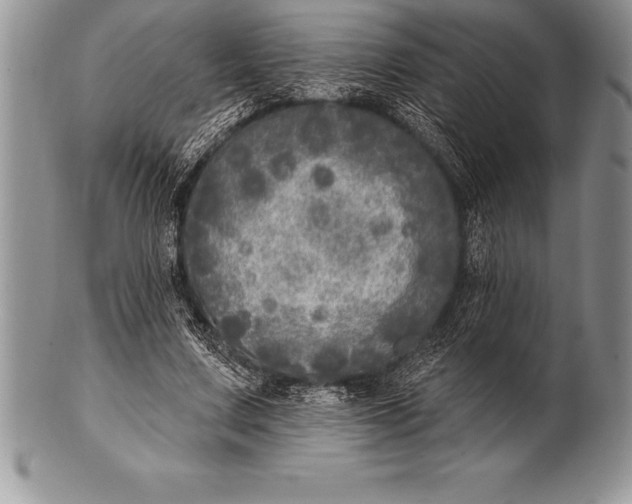 X0000100410683200806201759