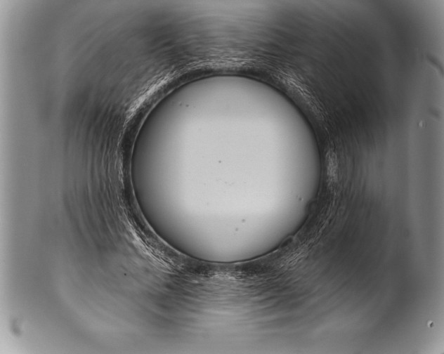 X0000100410684200806201759