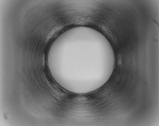 X0000100410685200806201759