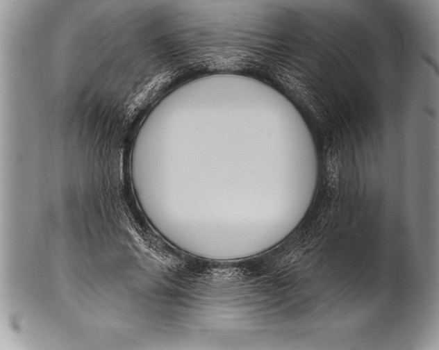 X0000100410686200806201759