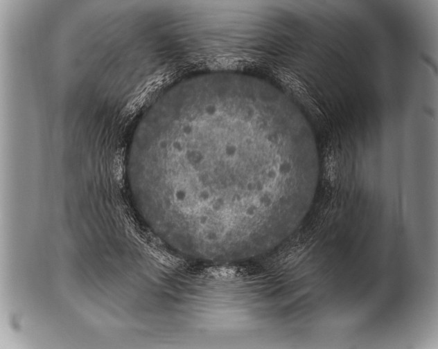 X0000100410687200806201759