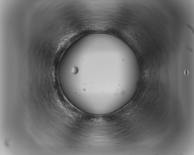 X0000100410688200806201759