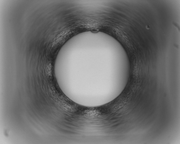 X0000100410689200806201759