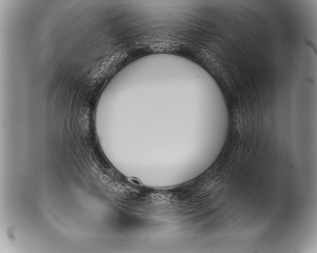 X0000100410690200806201759