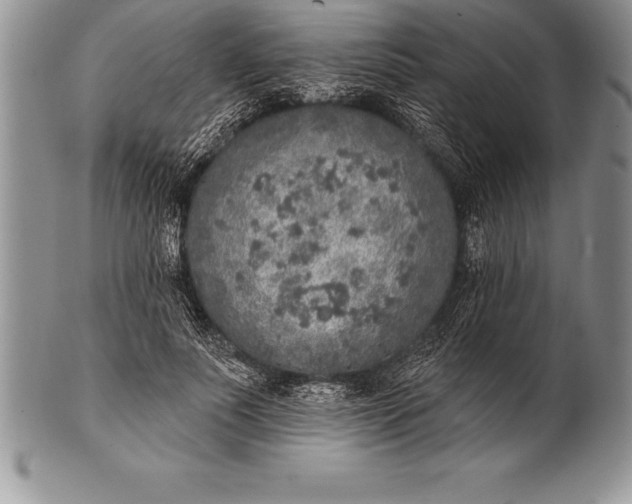 X0000100410691200806201759