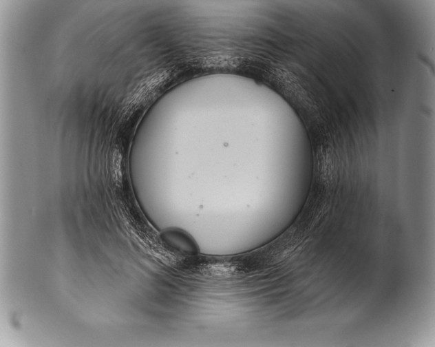 X0000100410692200806201759