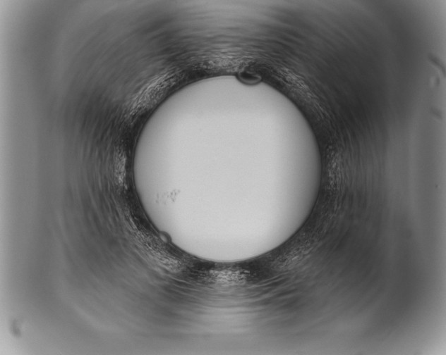 X0000100410693200806201759