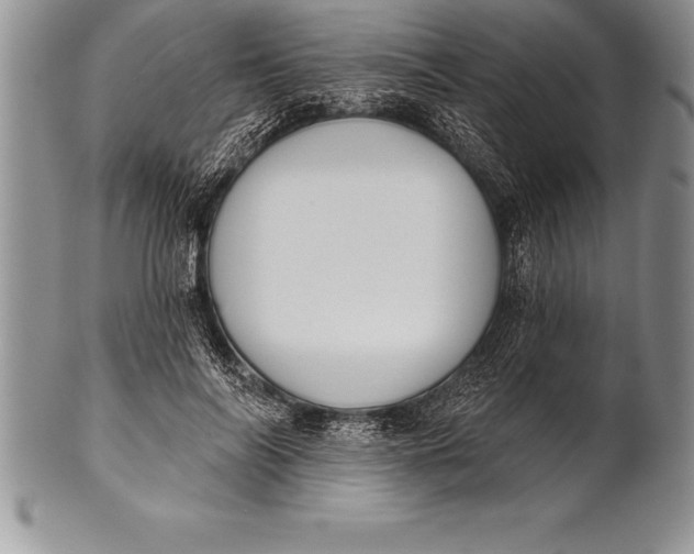 X0000100410694200806201759