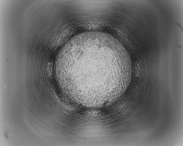 X0000100410695200806201759