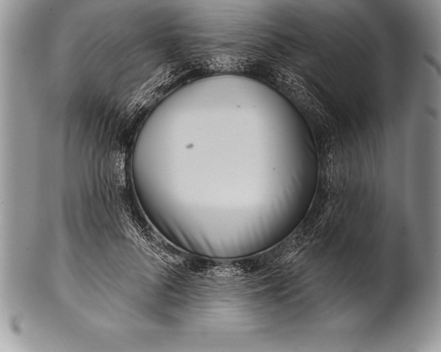 X0000100410696200806201759