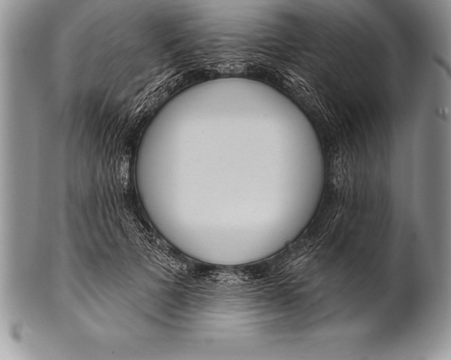 X0000100410697200806201759