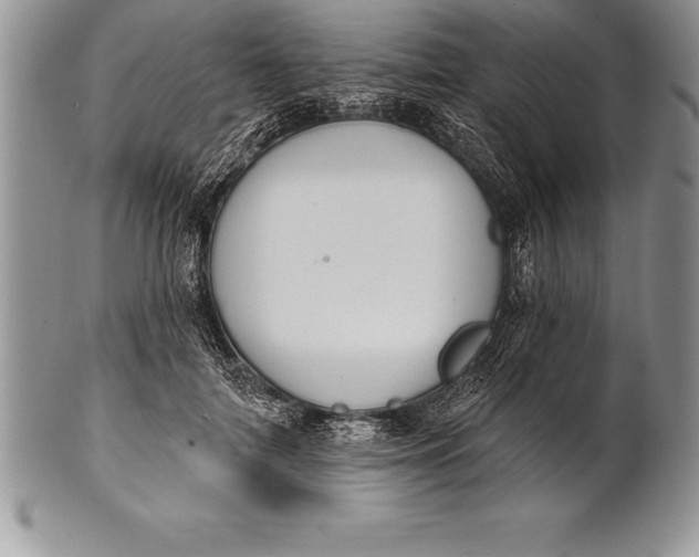 X0000100410698200806201759