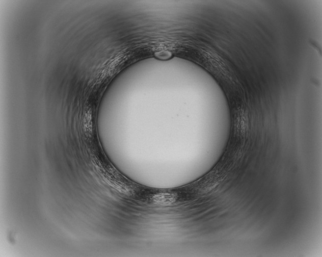 X0000100410700200806201759