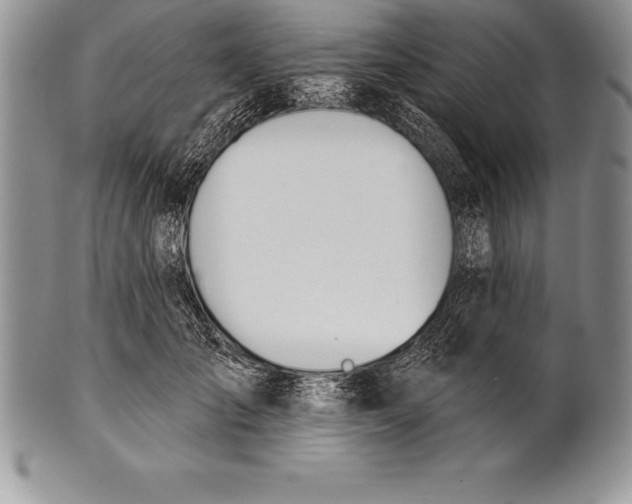 X0000100410701200806201759