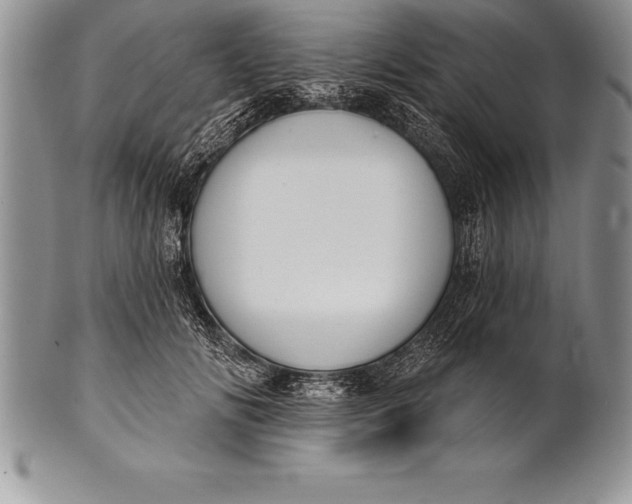 X0000100410702200806201759