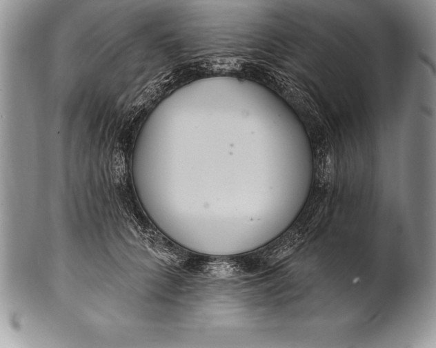 X0000100410704200806201759