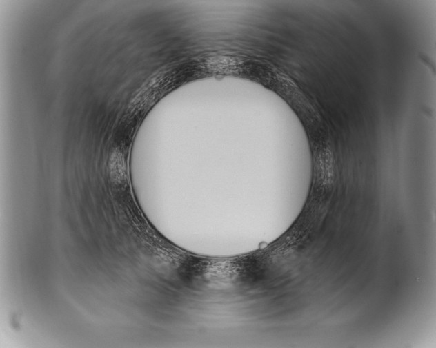 X0000100410705200806201759