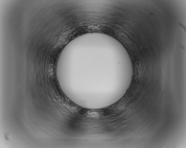 X0000100410706200806201759