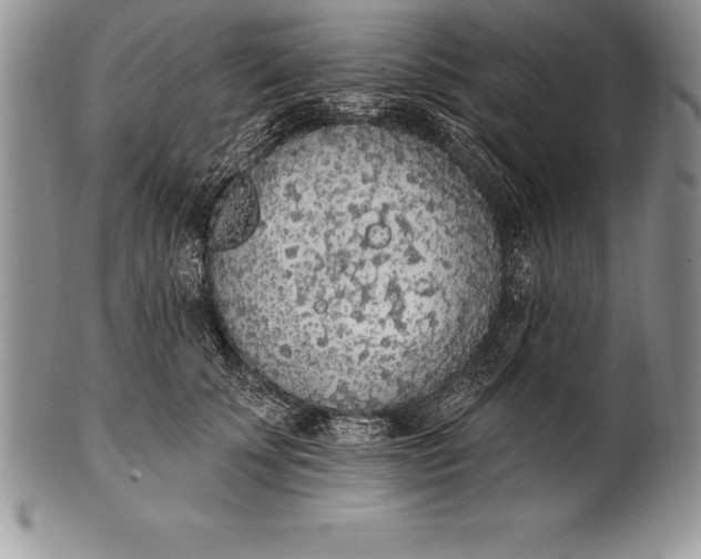 X0000100410707200806201759